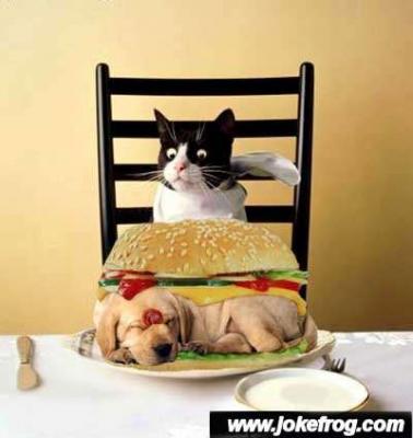 _cat_eats_dog.jpg